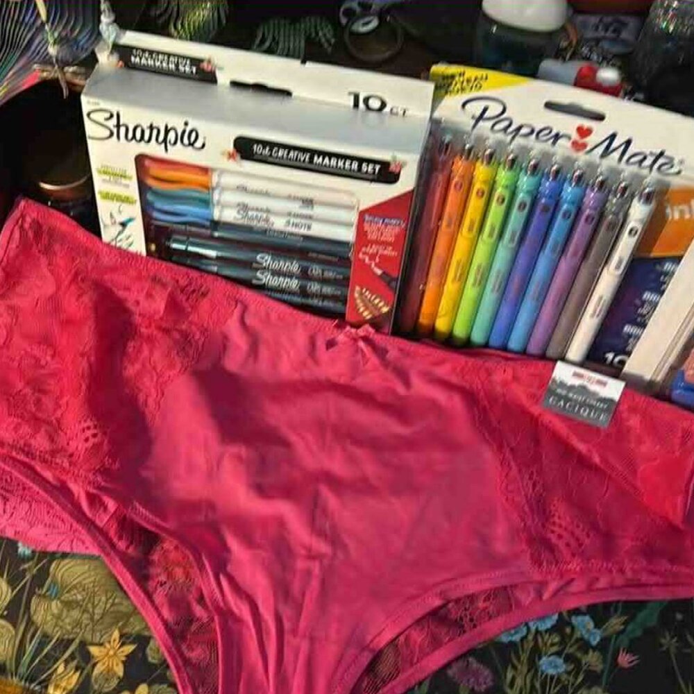 Lane Bryant Cacique 2 pairs - Hipster & Mid-Waist Cheeky - NEW W/Tags